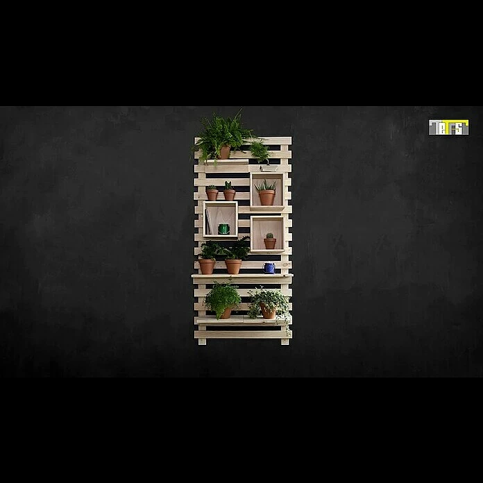 BAUHAUS Astigarraga Tetris Wandregal L X B X H: 40 X 12 X 9,5 Cm, Kiefernholz 4 BAUHAUS Astigarraga Tetris Wandregal L X B X H: 40 X 12 X 9,5 Cm, Kiefernholz – Bild 4