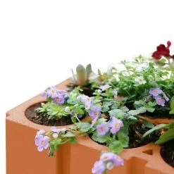 BAUHAUS Weinregal 36,5 X 24 X 24,9 Cm, Anzahl Flaschen: 6 Stk., Ton -Cheap Regale Store 12 17