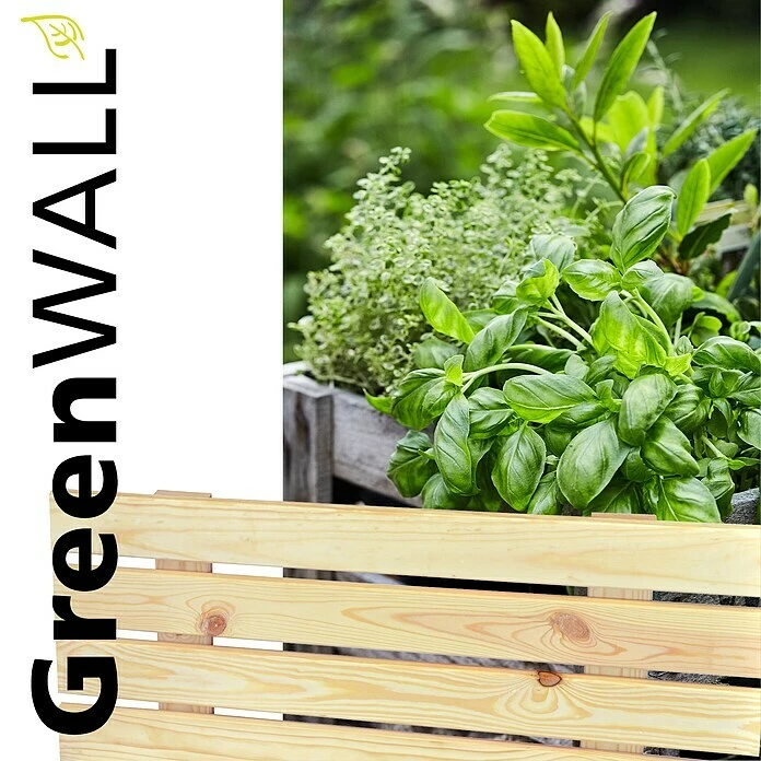 BAUHAUS Wagner System GreenFamily Blumenregal GreenWall 79 X 31 Cm, Natur 5 BAUHAUS Wagner System GreenFamily Blumenregal GreenWall 79 X 31 Cm, Natur – Bild 5