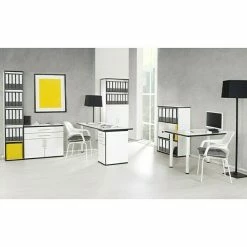 BAUHAUS Phönix Chicago Türelement L X B X H: 1,6 X 40 X 114 Cm, Passend Für: Phönix Chicago Regal, Weiß/Schwarz -Cheap Regale Store 12 291