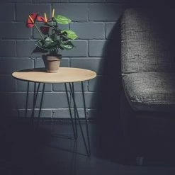 BAUHAUS Beistelltisch Ø X H: 48 X 45 Cm, Mitteldichte Holzfaserplatte (MDF) 9 BAUHAUS Beistelltisch Ø X H: 48 X 45 Cm, Mitteldichte Holzfaserplatte (MDF) -Cheap Regale Store 12 3463