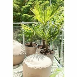 BAUHAUS Outbag Outdoor-Sitzhocker Rund Rock Plus Mud, Ø X H: 60 X 35 Cm, 100 % Polyester -Cheap Regale Store 12 3690