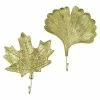 BAUHAUS Garderobenhaken Set Ginko/Ahorn L X B X H: 20 X 3,5 X 25 Cm, Gold