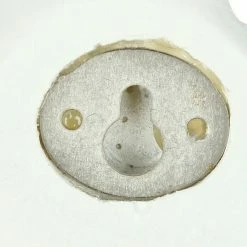 BAUHAUS Garderobenleiste Vögel Auf Ast L X B X H: 34 X 6 X 14,5 Cm, Anzahl Haken: 3 Stk., Weiß/Natur -Cheap Regale Store 12 5456