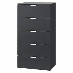 BAUHAUS Express Möbel Highboard Solutions L X B X H: 42 X 50 X 100 Cm, Graphit, Anzahl Schubladen: 5 Stk.