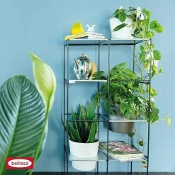 BAUHAUS Bellissa Regalsystem Filo 2x4 59 X 31 X 117 Cm -Cheap Regale Store 12 740